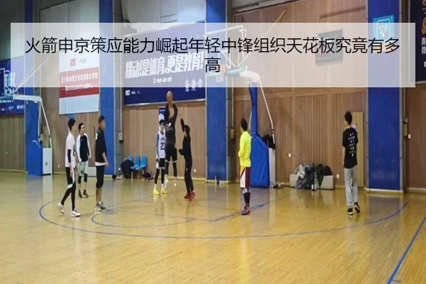 火箭申京策应能力崛起年轻中锋组织天花板究竟有多高 | kaiyun
